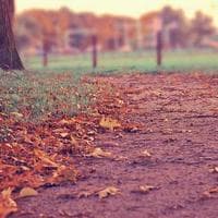 Team Member Aya, Media Manager & Communication