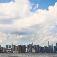 Team Member MoneyNova, SEO, Developer & Team Helper