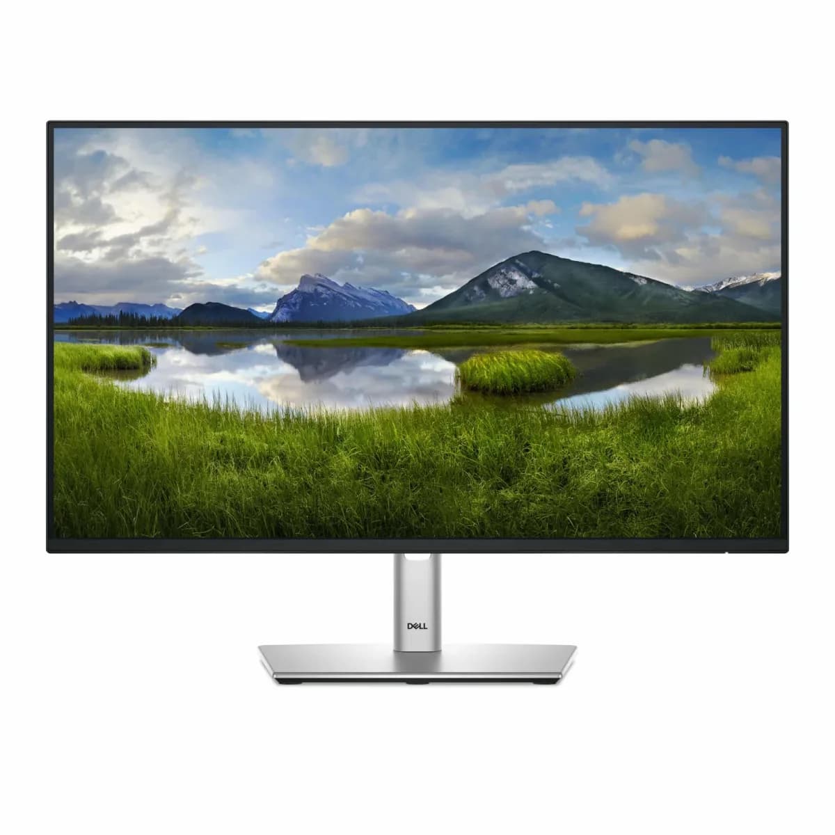 DELL PRO 24 PLUS P2425H | 23.8″ | FHD 1920×1080 | IPS | 100Hz